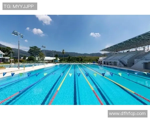 蝶泳技巧精髓解析与训练方法提高速度与耐力的全面指南